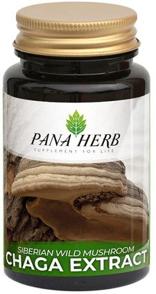 CHAGA Extract  600mg 60cps