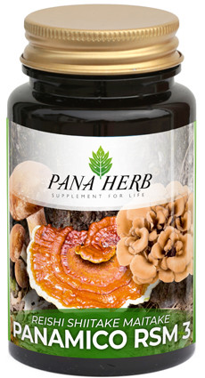 PANAMICO RSM3 60cps da 500mg.
